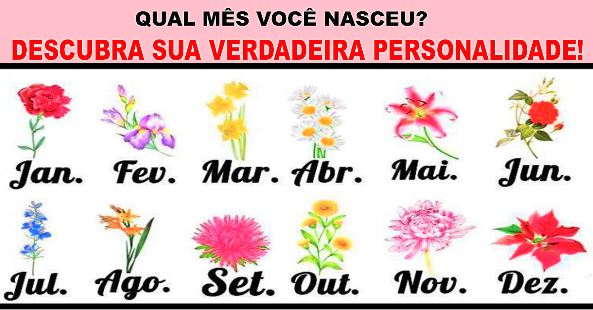 Descubra O Que A Flor Do Mês Do Seu Nascimento Tem A Revelar Sobre Sua Personalidade 